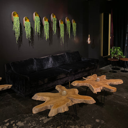 Biophilia: A Workplace Wellness Strategy