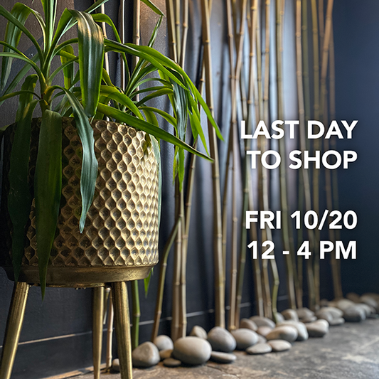 Iconic Retail Showroom Closing