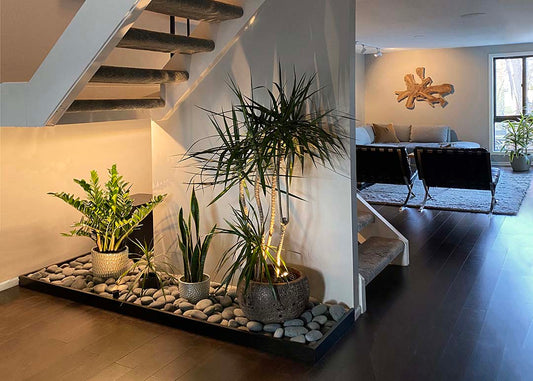 Biophilic Living in Multifamily Spaces