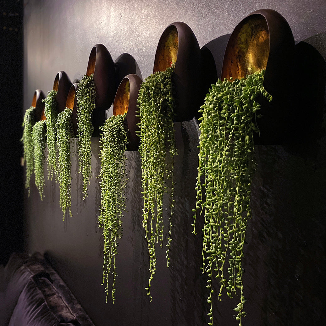 Written Article | Workplace Wellness