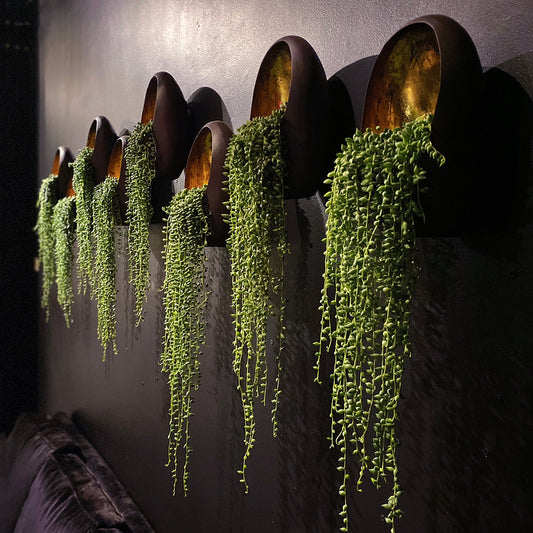 Written Article | Workplace Wellness