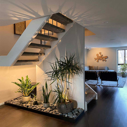 Design Project | Indoor Atrium