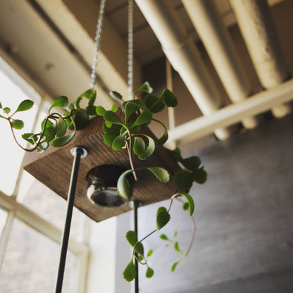 wooden hanging plant Hanging Wood Planter – SUSIE FRAZIER