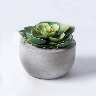 Cement Planter - SUSIE FRAZIER
