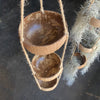 Hanging Coconut Planter