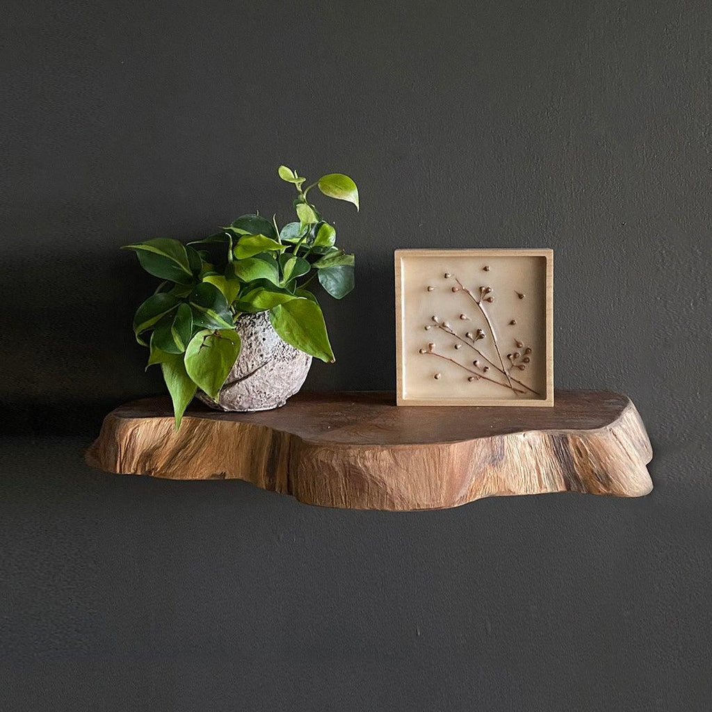 Live Edge Teak Shelf - SUSIE FRAZIER