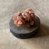 Argonite on Pedestal