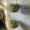 Hanging Coconut Planter
