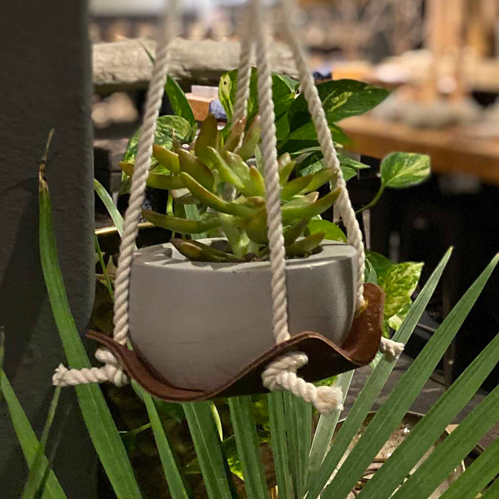 Leather Plant Hammock