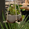 Leather Plant Hammock